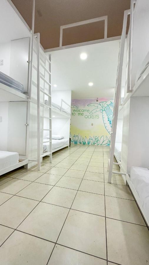 Sjo Oasis Hostel Σαν Χοσέ Εξωτερικό φωτογραφία