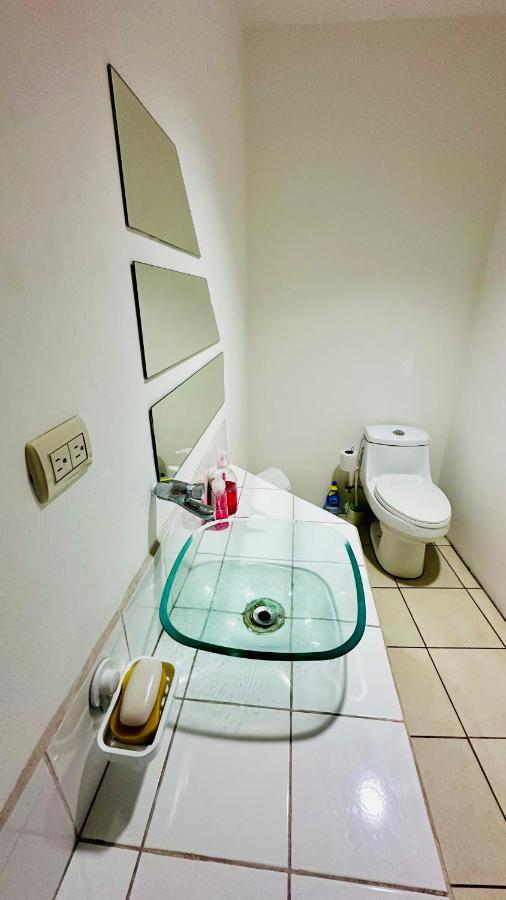 Sjo Oasis Hostel Σαν Χοσέ Εξωτερικό φωτογραφία